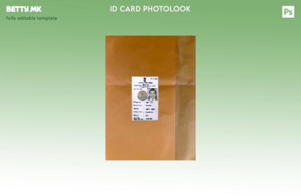 Модерен стил индиски лична карта photolook пред шаблон